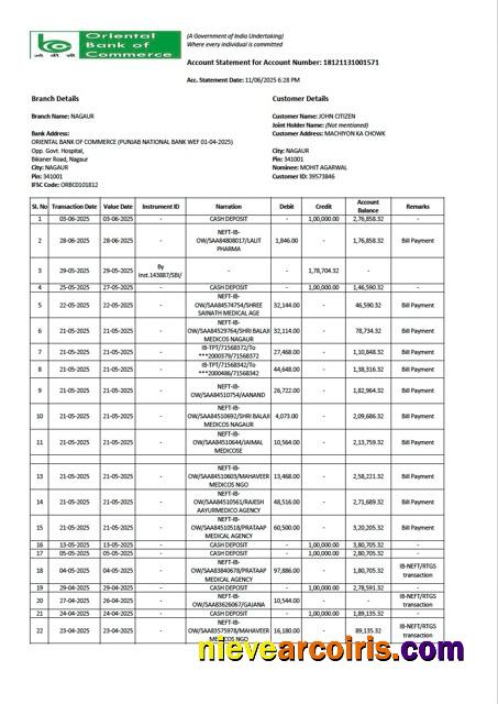 India Oriental Bank of Commerce account statement Word and PDF